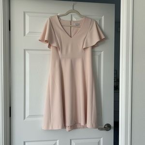 Blush lined dress.